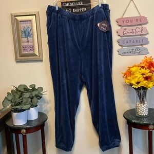 NWT AVA & VIV BLUE Velvet Pants Sz 2X w/Elastic at Ankles.